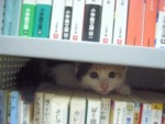 {̌Ԃ̂񂳂